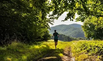 Biegacz w czasie zawodów organizowanych przez Festiwal Pustelnika na leśnym szlaku z widokiem na górskie pasma w słoneczny dzień