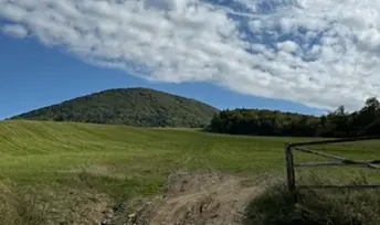 Panorama gór w Beskidzie Niskim z szeroką polaną i ścieżką prowadzącą w stronę wzniesienia.