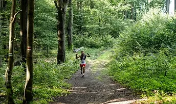 Biegacz na leśnym szlaku otoczonym zielenią, w trakcie zawodów terenowych.