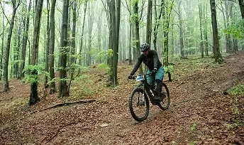 Zawodnik MTB jadący singletrackiem w gęstym, jasnym lesie.
